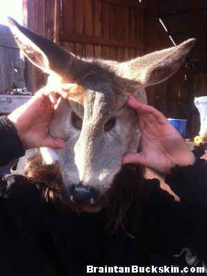 Deer face used as a mask.